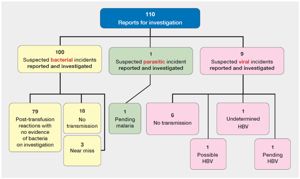Flowchart titled “Outcomes of suspected transfusion-transmitted infections (TTI) investigated in 2025.” The diagram shows 110 reports for investigation, divided into suspected bacterial, parasitic, and viral incidents.
Of the 110 reports, 100 are suspected bacterial incidents: 79 cases had no evidence of bacteria on investigation, 18 showed no transmission, and 3 were classified as near miss. One suspected parasitic incident resulted in 1 pending malaria case. Nine suspected viral incidents included 6 with no transmission, 1 undetermined hepatitis B virus (HBV) case, 1 possible HBV case, and 1 pending HBV case.
Overall, most investigations relate to bacterial incidents, the majority of which found no evidence of infection, while viral and parasitic incidents are relatively few and include some unresolved or pending outcomes.