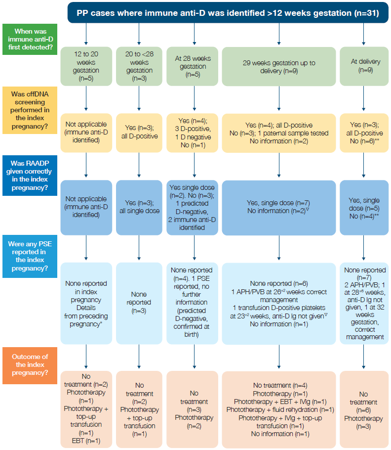 Flowchart summarising 31 pregnancies in which immune anti-D was identified after 12 weeks' gestation. Cases are grouped according to when immune anti-D was first detected: 12–20 weeks (n=5), 20 to less than 28 weeks (n=3), at 28 weeks (n=5), from 29 weeks to delivery (n=9), and at delivery (n=9).
The chart records whether cell-free fetal DNA (cffDNA) screening was performed in the index pregnancy, whether routine antenatal anti-D prophylaxis (RAADP) was administered correctly, whether any patient safety events (PSEs) were reported, and the outcome of the pregnancy. Most cffDNA results, where performed, identified D-positive fetuses. At 28 weeks, four women underwent cffDNA screening, with three D-positive and one D-negative result. Between 29 weeks and delivery, four women had cffDNA screening with all fetuses identified as D-positive. At delivery, three women had cffDNA screening and all fetuses were D-positive.
RAADP was administered correctly in most pregnancies where information was available, usually as a single dose. A small number of women did not receive RAADP because the fetus was predicted to be D-negative, immune anti-D had already been identified, or other reasons were documented. Information was unavailable for several pregnancies.
Most pregnancies had no reported patient safety events. Reported events included antepartum haemorrhage (APH) or per vaginal bleeding (PVB), management following transfusion of D-positive platelets at 23 weeks' gestation where anti-D immunoglobulin was not administered, and cases where anti-D immunoglobulin was given appropriately following sensitising events. Some pregnancies had incomplete information.
Outcomes were generally favourable. Across all groups, most infants required either no treatment or phototherapy. A small number required phototherapy with top-up transfusion, phototherapy with intravenous immunoglobulin (IVIg), phototherapy with IVIg and top-up transfusion, phototherapy with fluid rehydration, or exchange blood transfusion (EBT). Outcome information was unavailable for one pregnancy.